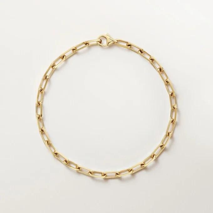 Pulsera Santos de Cartier, cadena, modelo pequeño